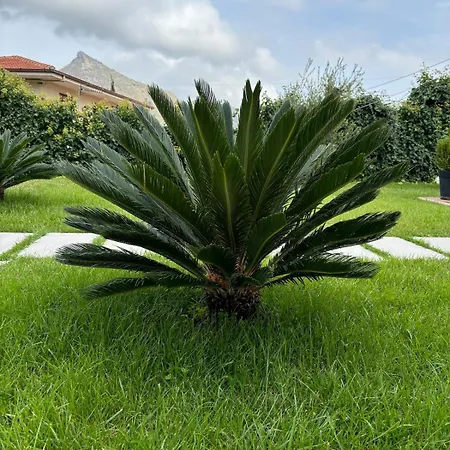 Exclusive With Pool Near Апартаменты