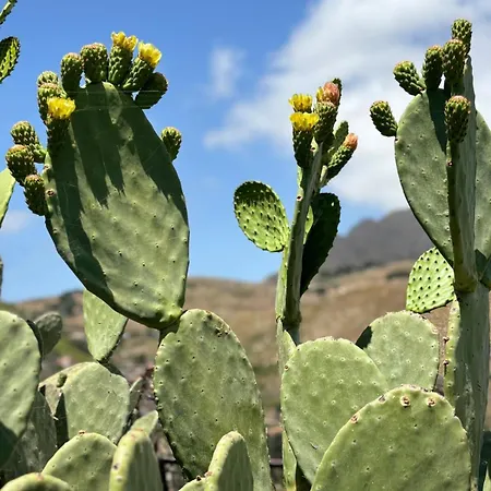 Exclusive With Pool Near